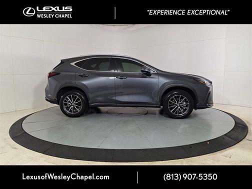 2024 Lexus NX 250 Base