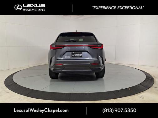 2024 Lexus NX 250 Base