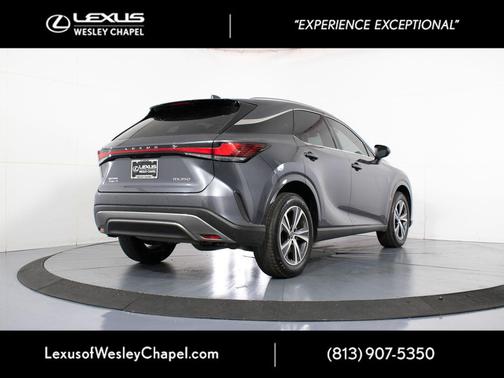 Cloudburst Gray 2025 Lexus RX 350 Premium