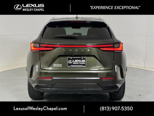 2024 Lexus NX 250 Premium