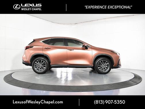 2025 Lexus NX 250 Base