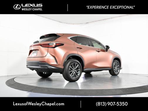 2025 Lexus NX 250 Base