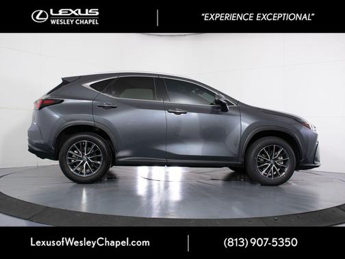 Cloudburst Gray 2024 Lexus NX 250 Premium