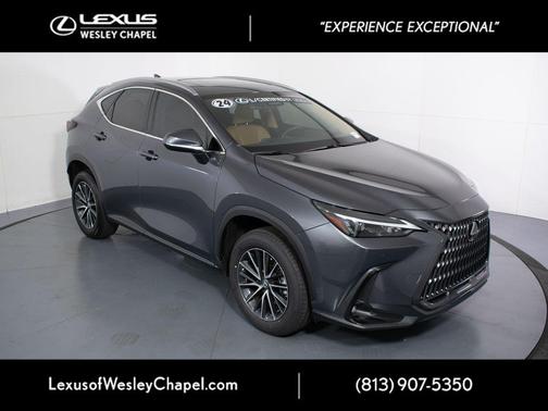 Cloudburst Gray 2024 Lexus NX 250 Premium