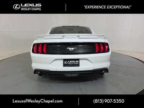 2019 Ford Mustang EcoBoost