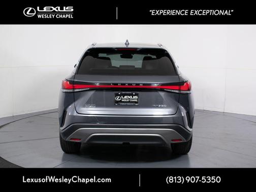 Cloudburst Gray 2024 Lexus RX 350 Premium