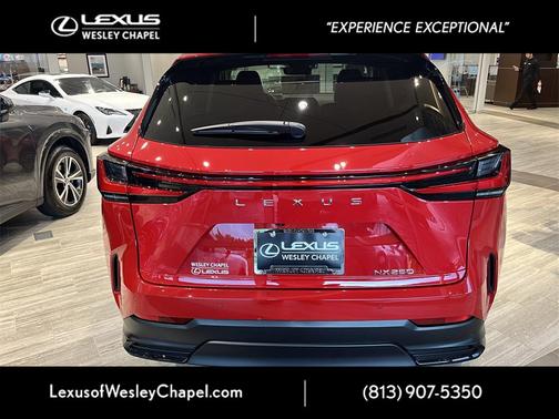2025 Lexus NX 250 Premium