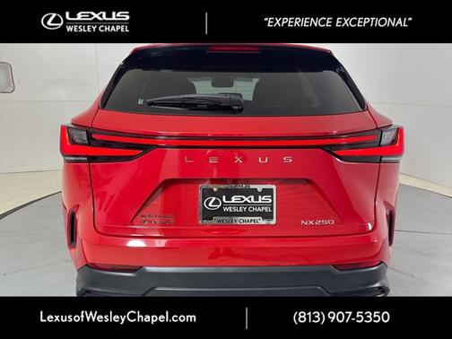 2022 Lexus NX 250 Base