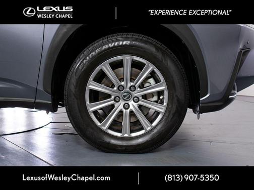 Nebula Gray Pearl 2020 Lexus NX 300 Base