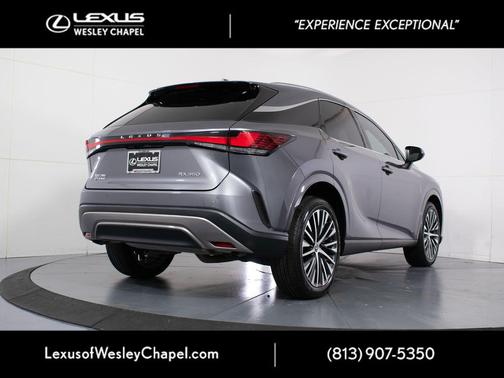 Nebula Gray Pearl 2023 Lexus RX 350 Premium Plus