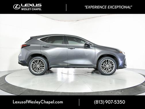 2022 Lexus NX 350h Premium