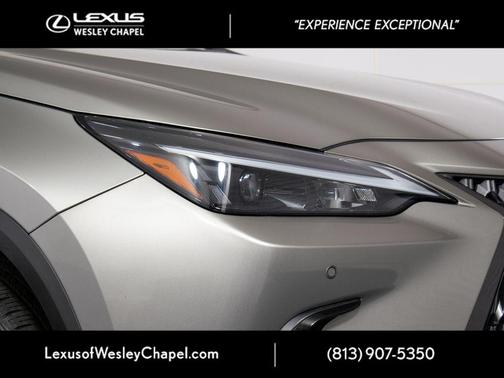 Atomic Silver 2024 Lexus NX 250 Premium