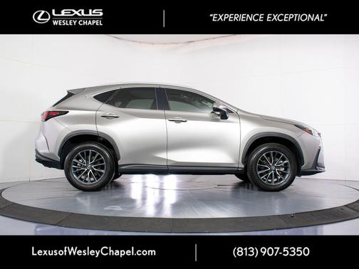 Atomic Silver 2024 Lexus NX 250 Premium
