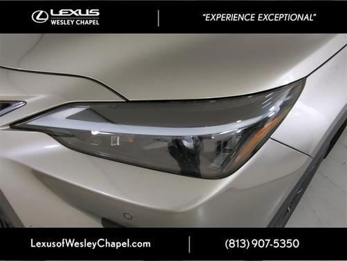 2024 Lexus NX 250 Premium