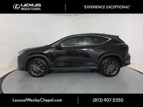 2024 Lexus NX 350 350 Base