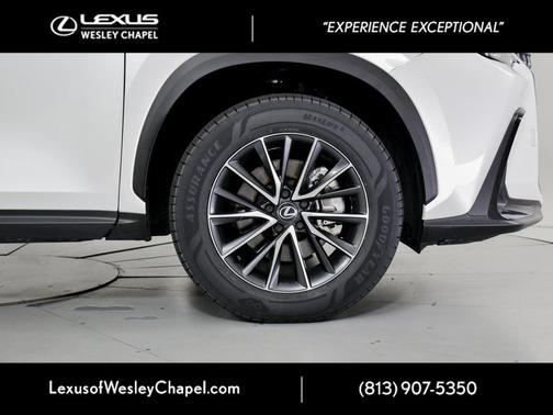 2024 Lexus NX 250 Premium