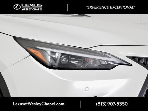 2024 Lexus NX 250 Premium