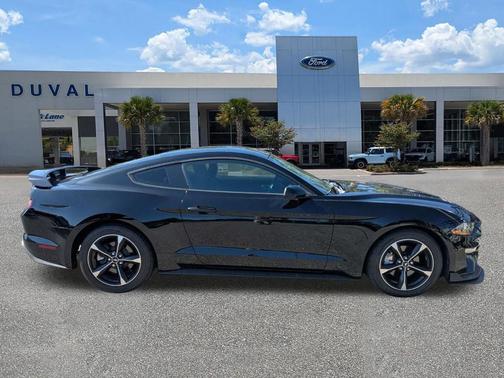 Shadow Black 2019 Ford Mustang EcoBoost