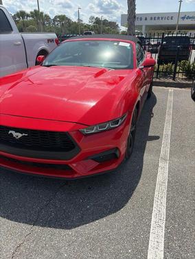 Race Red 2024 Ford Mustang EcoBoost Premium