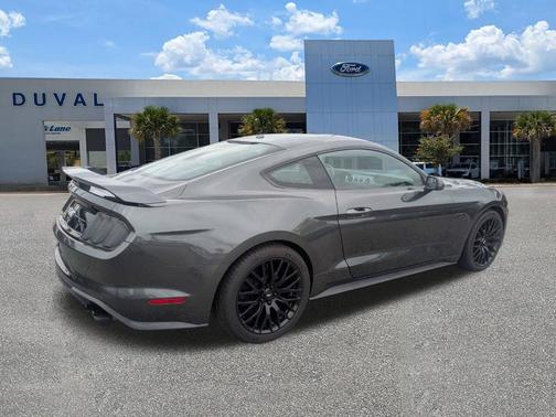 Magnetic 2019 Ford Mustang GT