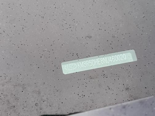 Moonlight Cloud 2022 Hyundai PALISADE Limited