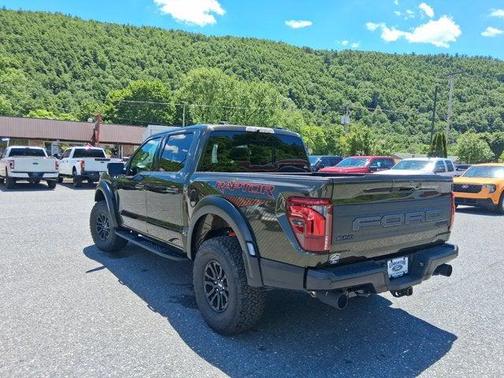 Shelter Green 2026 Ford F-150 Raptor
