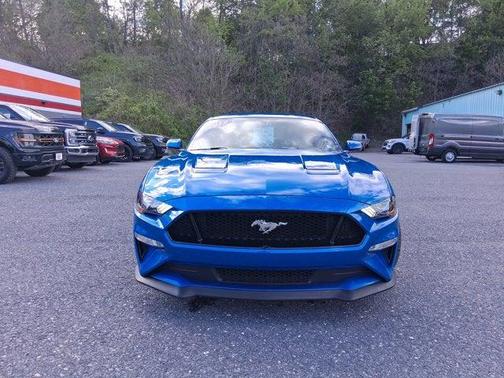 Velocity Blue 2019 Ford Mustang GT Premium