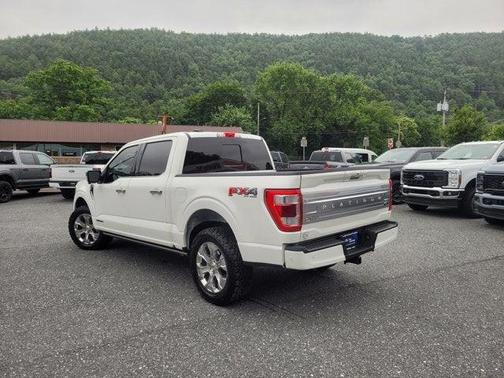2021 Ford F-150 Platinum