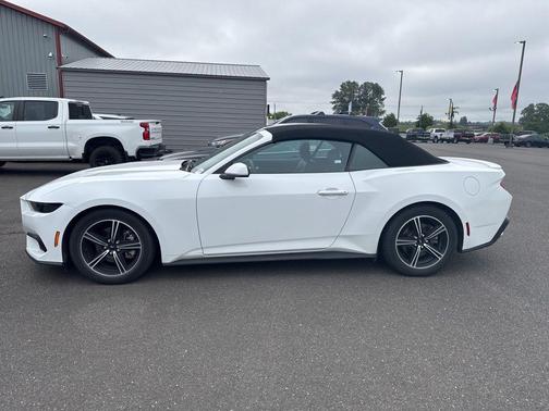 Oxford White 2025 Ford Mustang EcoBoost