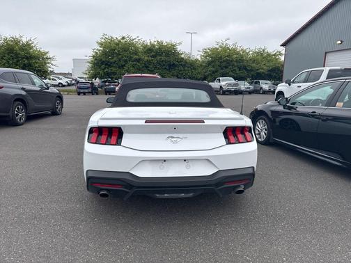 Oxford White 2025 Ford Mustang EcoBoost