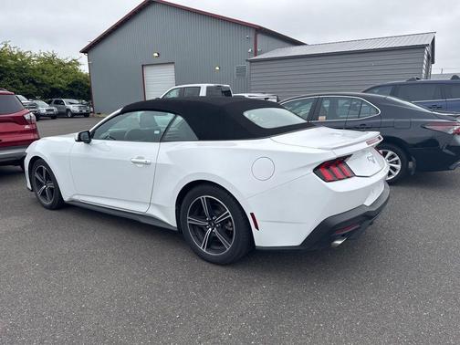 Oxford White 2025 Ford Mustang EcoBoost