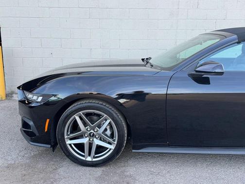 Shadow Black 2024 Ford Mustang EcoBoost Premium