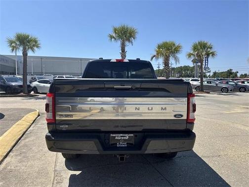 2021 Ford F-150 Platinum