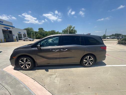 Pacific Pewter Metallic 2019 Honda Odyssey Elite