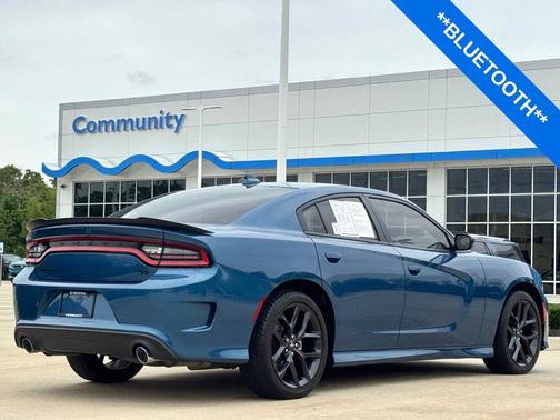Frostbite 2021 Dodge Charger R/T