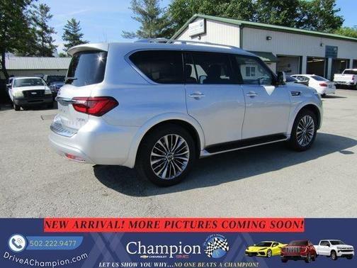 Liquid Platinum 2019 INFINITI QX80 Luxe