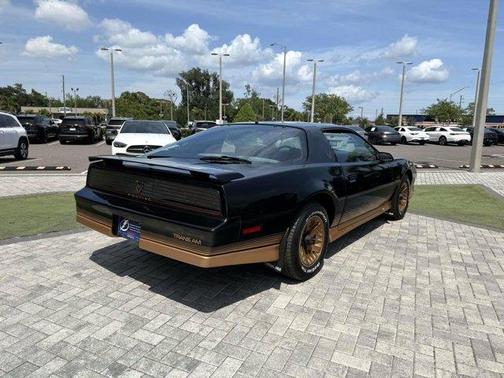 Black 1984 Pontiac Firebird Trans Am