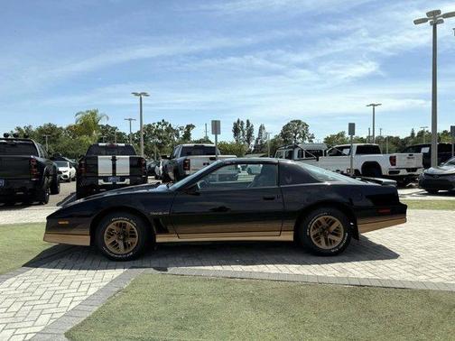 Black 1984 Pontiac Firebird Trans Am