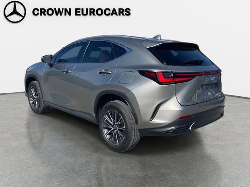 2023 Lexus NX 350 Premium