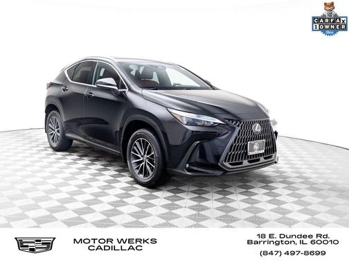 2024 Lexus NX 350h AWD