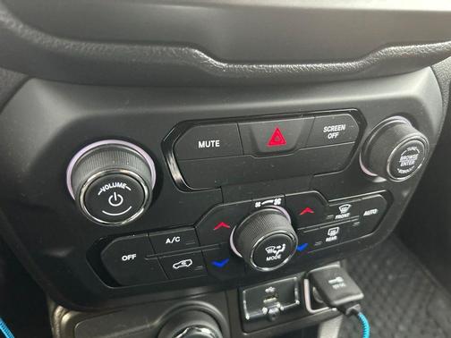 Metallic 2020 Jeep Renegade Latitude