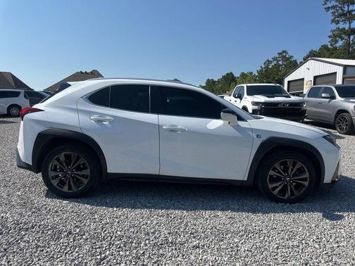 2019 Lexus UX 200 F Sport