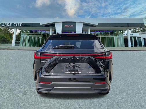 Caviar 2022 Lexus NX 250 Premium