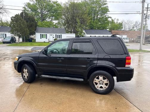 Black Clearcoat 2007 Ford Escape XLT