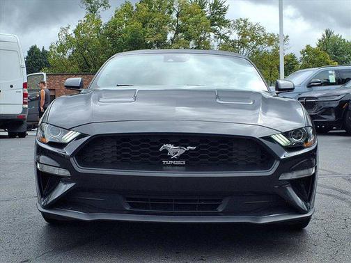2022 Ford Mustang EcoBoost