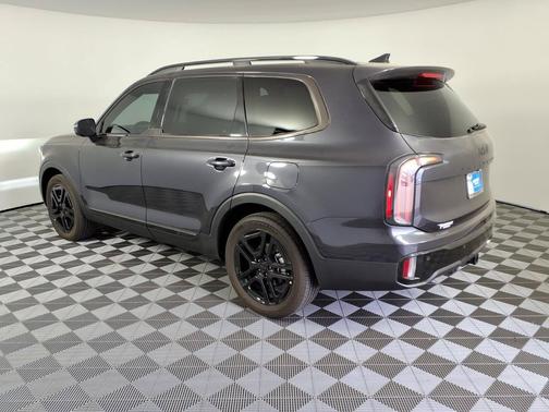 Panthera Metal 2025 Kia Telluride SX X-Line