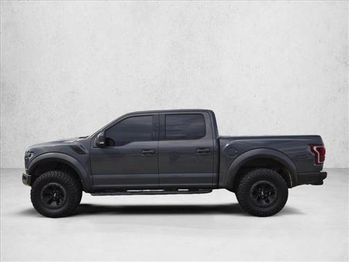 Magnetic Metallic 2018 Ford F-150 Raptor