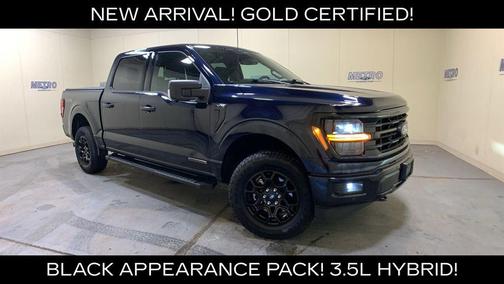 Blue Metallic 2025 Ford F-150 XLT