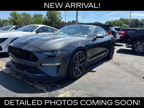 Magnetic 2019 Ford Mustang GT Premium