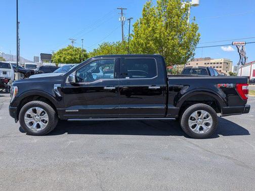 Black Metallic 2023 Ford F-150 Platinum